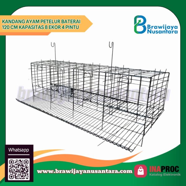 Kandang ayam petelur baterai 120 cm kapasitas 8 ekor 4 pintu, galvanis